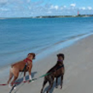 Meet your Posher, Pat